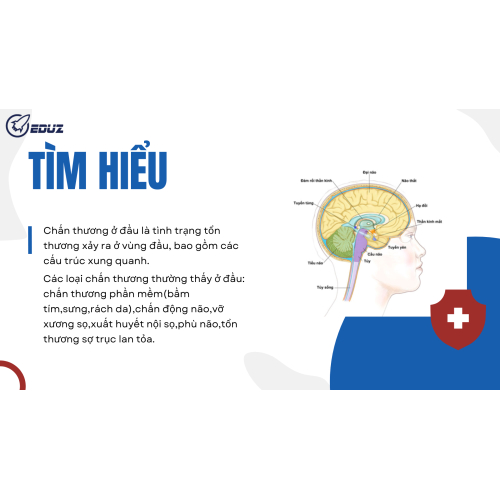 1.Tìm hiểu